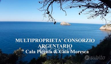 Terreno consorzio monte argentario cala moresca