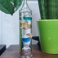 termometro di Galileo 