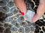 Immagine 4