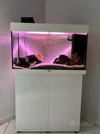 Acquario juwel rio 125 completo di tutto