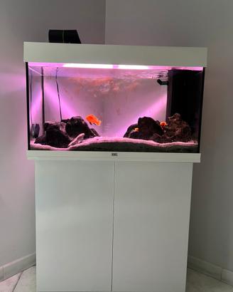 Acquario juwel rio 125 completo di tutto
