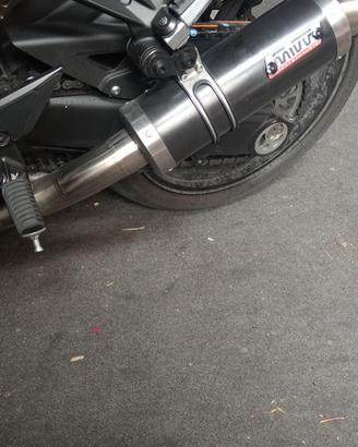  terminali Kawasaki z1000 SX 2019