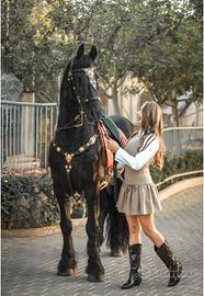 COMPLETI O SET PARTICOLARI O PORTOGHESE 