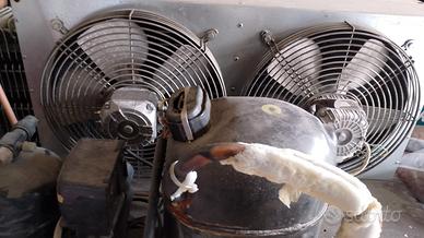 impianto refrigerante per celle frigorifero 