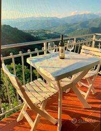 B&B La Terrazza sulle Apuane