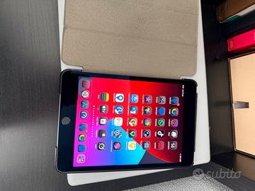 IPad mini 256 gb