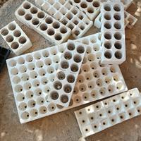 Vasi piantine germinazione