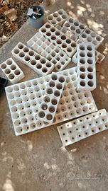 Vasi piantine germinazione