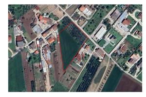 Terreno edificabile con uliveto 5.671 mq