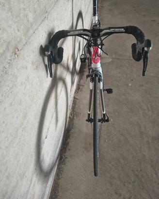 Bdc Wilier Triestina