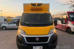 Fiat ducato 2.3 mjet cassa frigo 2.80 fnax 2027