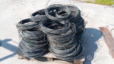 Filo Zn.all. vigneto