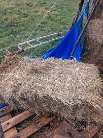 balle di fieno naturale