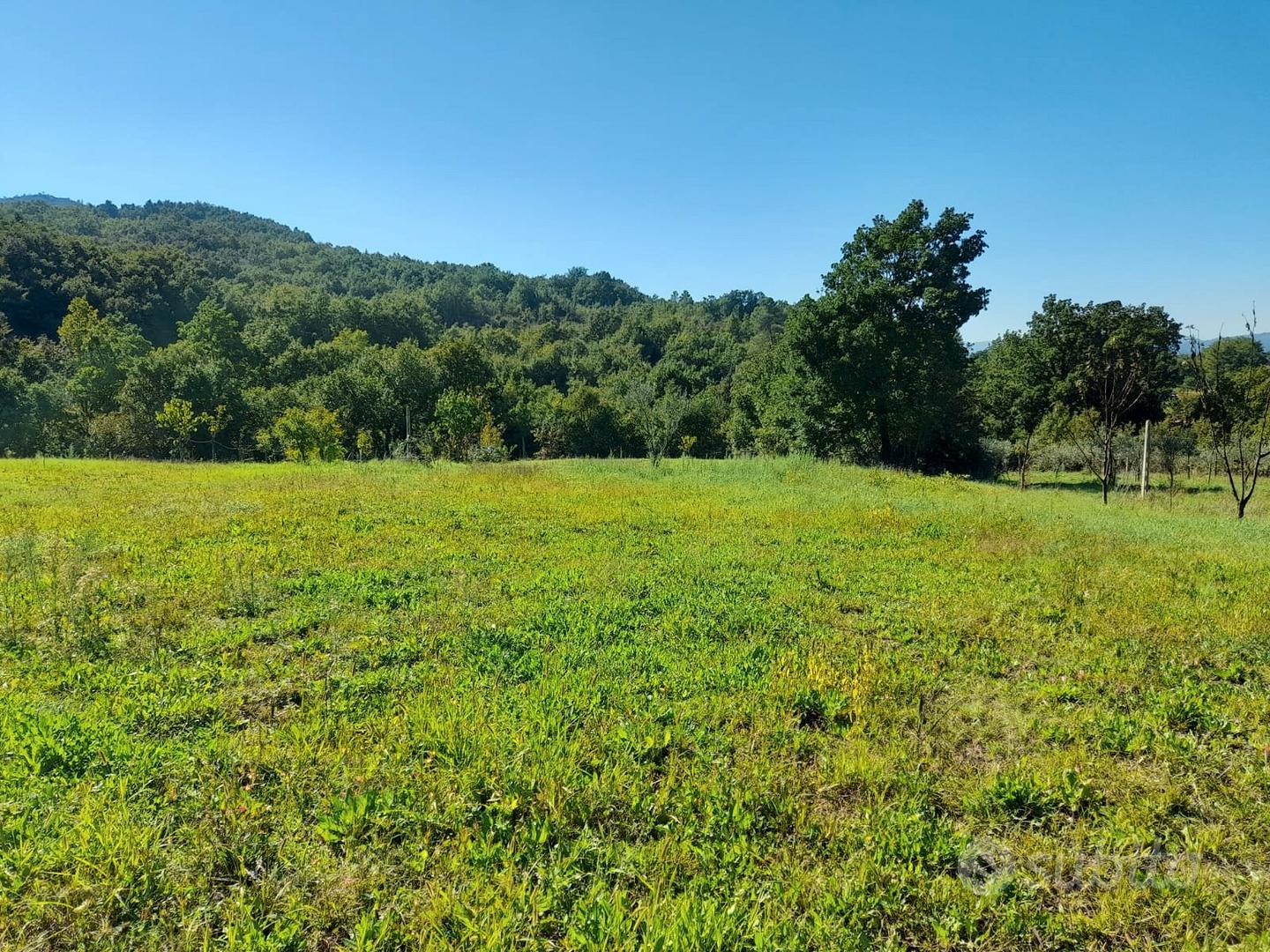Terreno Agricolo a Riardo (CE) - Zona Panoramica v - Vista 2