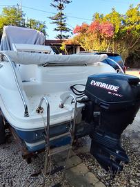EVINRUDE 40 E-TECH