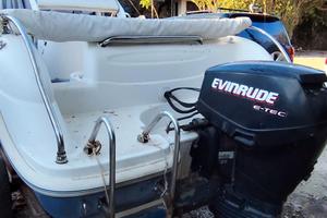 EVINRUDE 40 E-TECH
