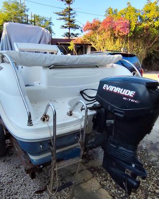 EVINRUDE 40 E-TECH