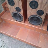 coppia casse Ortofon 225 8 ohm