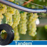 Ala gocciolante 400 metri