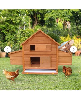 pollaio per galline 2 nidi di posa separati