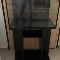 ACQUARIO  DA 60