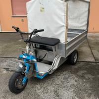Golf cart triciclo elettrico