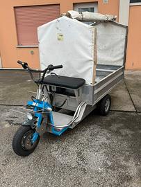 Golf cart triciclo elettrico