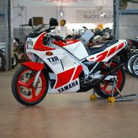 Yamaha TZR 250 1988 conservata