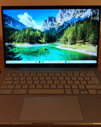Asus Chromebook 