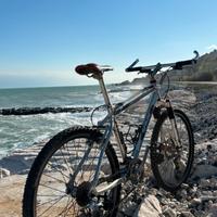 Mountain bike alluminio