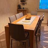 Sedie per tavolo da pranzo