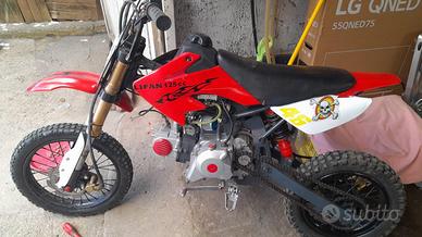Pitbike 125 Lifan