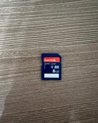SD cards 8GB e 32GB