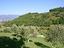 Immagine 25