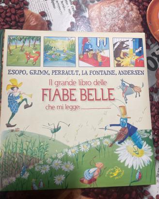 Il grande libro delle fiabe belle