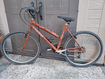 bici mountain bike