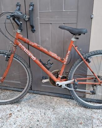 bici mountain bike
