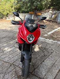Mv turismo veloce 800 rosso