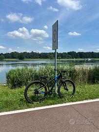 bicicletta wheele