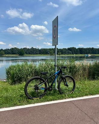 bicicletta wheele