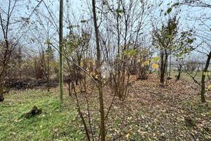 TER. AGRICOLO A PINEROLO