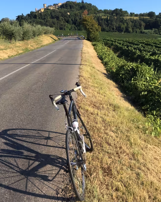 Bici da corsa