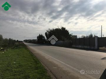 CASA DI CORTE A CERIGNOLA