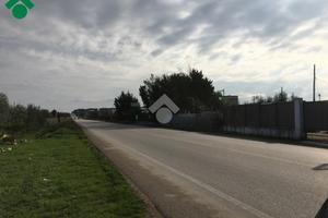 CASA DI CORTE A CERIGNOLA