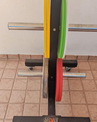 Dischi da Powerlifting