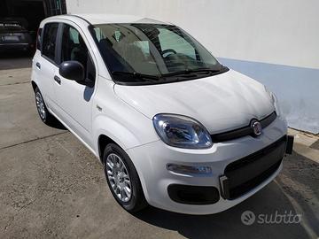 FIAT Pandina 65 hybrid Icon Promo CBC 5