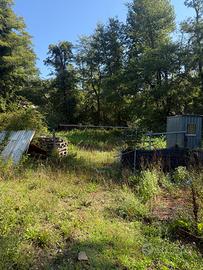 Terreno agricolo