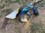 Immagine 2