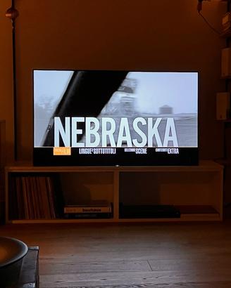 SONY TV BRAVIA OLED 4K HDR A1 65”