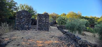 RAGALNA TERRENO CON RUDERE